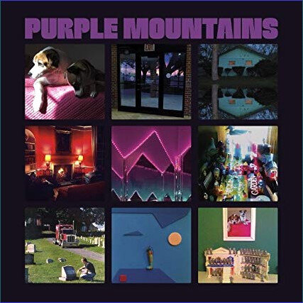 Purple Montains David Berman