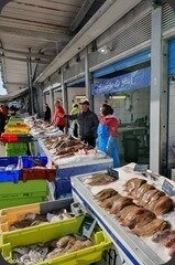 Wimereux-Atlantic-Liegeoise-Aloze-127