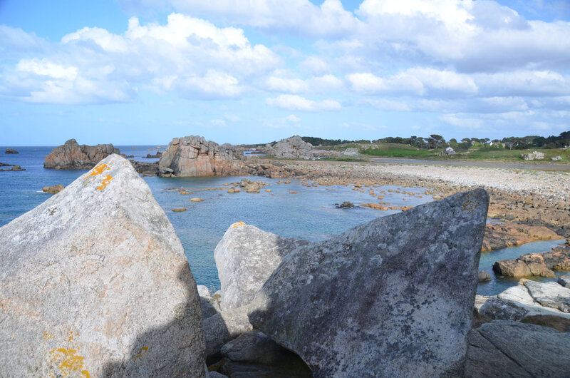 DSC_3592,