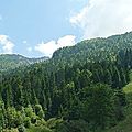 barlagne4