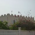 Notre appartement
