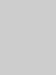 gris_800X600