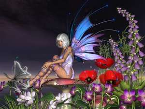 fee1