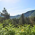 Le col de Boesou, à l'est , encadre la forêt d'Issaux