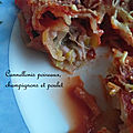 Cannellonis poireaux, champignons et poulets (4 sp - ww bleu)