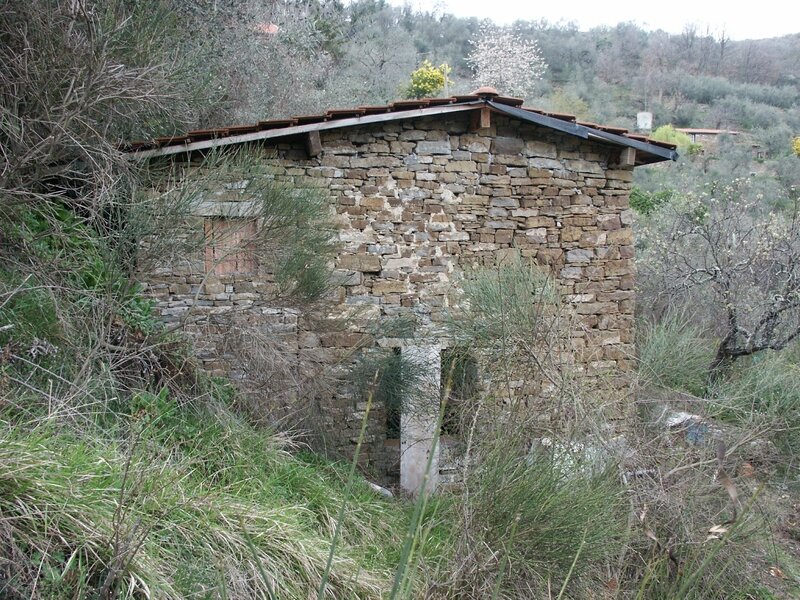maison apricale 5