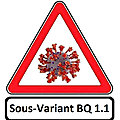 Covid-19 : alerte au sous-variant bq1.1 !