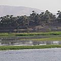 IMGP0770