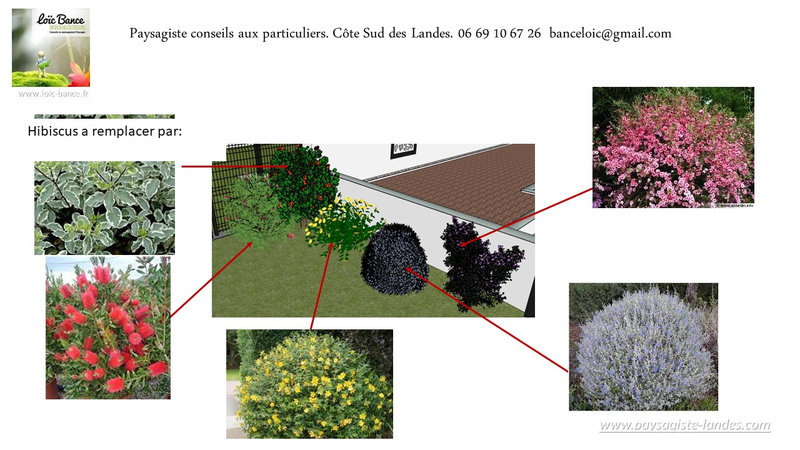 6-Concepteur-de-jardins-Mimbaste-40350-Paysagiste-Landes