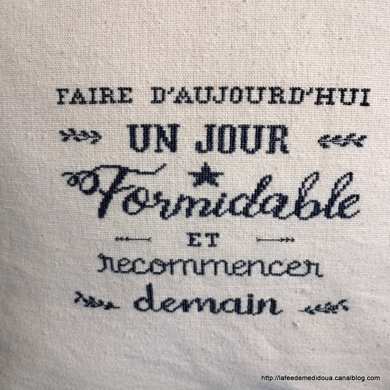 coussin-formaidable-texte