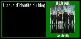 plaque_identite_vide_signe