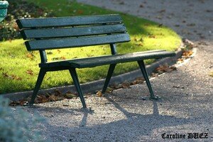 banc_2_nov_2006_178_copie