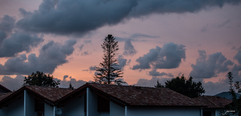 24082018-IMG_4399