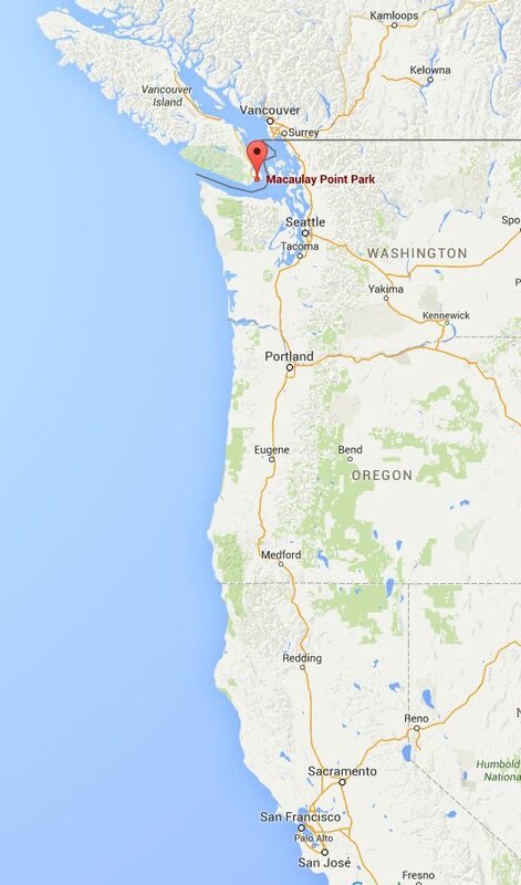 Loiseau Martin - san-francisco-vancouver