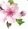 25308813-cherry-blossom-rose--violet-sakura-japonais-d-arbre-isole-sur-fond-blanc-illustration