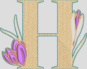 H
