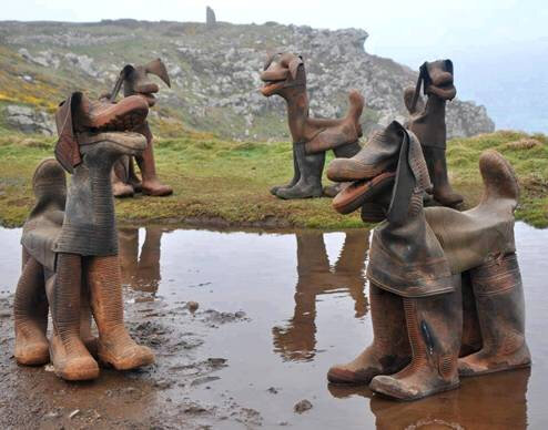 171823 chien bottes
