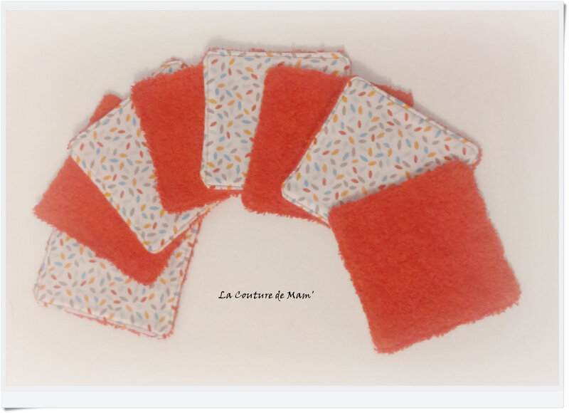 Série de lingettes (2)