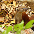P1140232