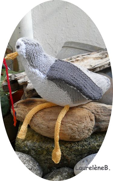 mouette1