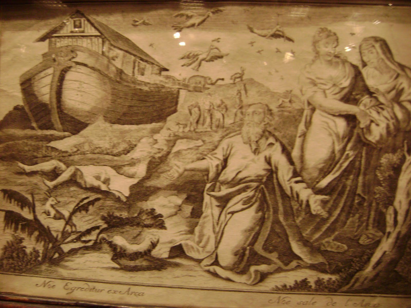 Quelle est l'histoire de l'arche de Noé ? - Jour du Seigneur