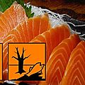 Saumon : la norvège reconnaît que son poisson est dangereux pour la santé
