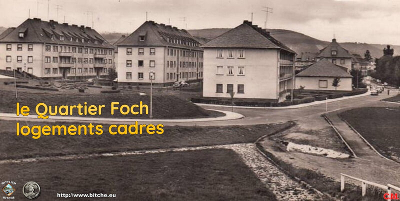 63 913867 WITTLICH