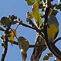 P1050598