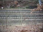 IMGP3489