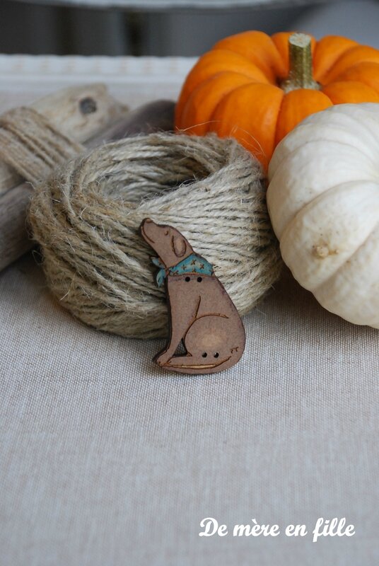chien marron foulard bleu