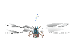 libellule_020