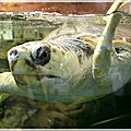 marineland 4