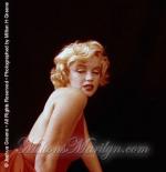 1957-01-27-Red_Sitting-030-1-marilyn_monroe_RS_16