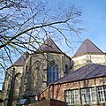 IMGP0490