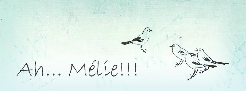 bannière blog oiseaux