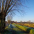 IMGP0244