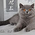 _DSC0697