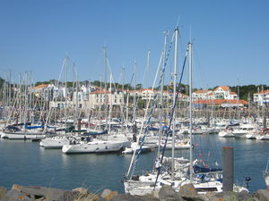 F_te_du_15_ao_t_avec_les_chiens_sauveteurs_en_mer_009