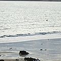 Sur la plage de beg leguer (côtes d'armor) le 18 août 2013 (1)