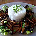 Shimeji, champignons asiatiques