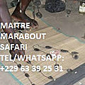 Grand maitre marabout vodoun papa safari tidiane tel/whatsapp: +229-63-39-25-31
