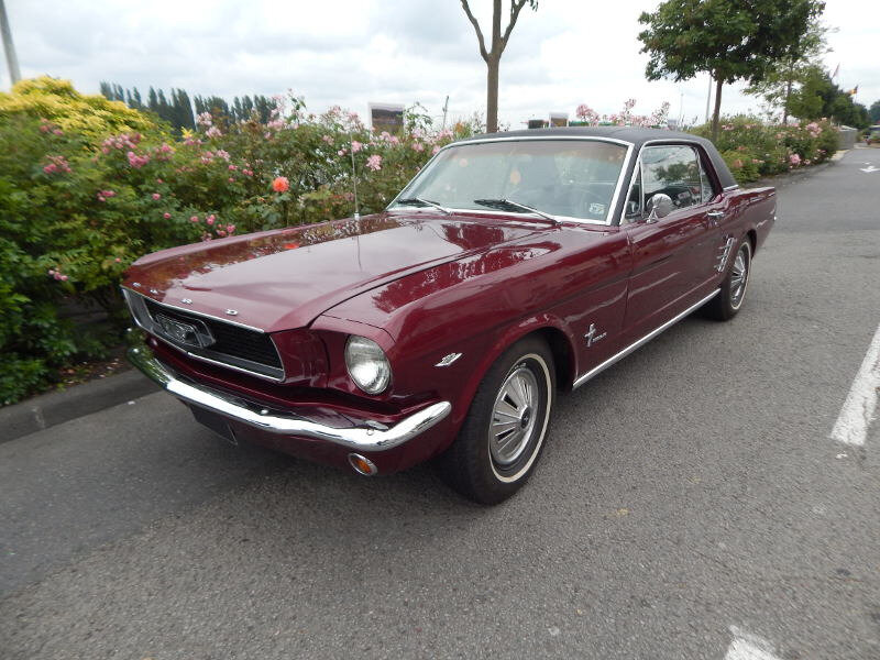 FordMustang289CHTopav1