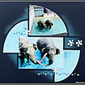 Pairi daiza 2012 - bain des éléphants suite