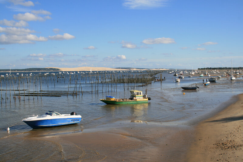 bassin_maree_basse