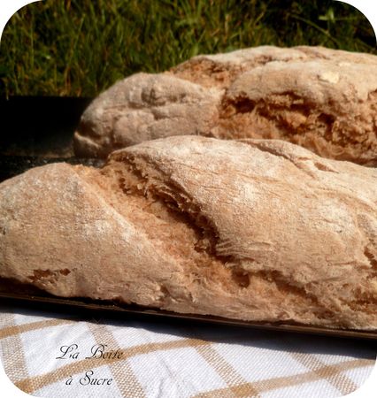 Baguette_int_grale_et_seigle