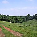 _IGP5171 (2)