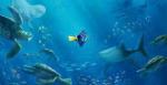 images (5)