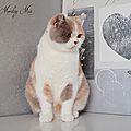 _DSC0995