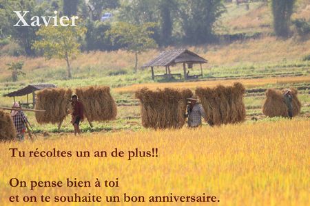 3 1 11 Joyeux Anniversaire Xavier Les B Lib S