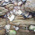 les roches de la plage